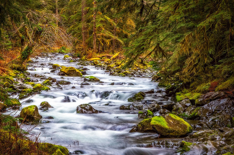 The Stream at Sol Duc Falls Photograph by Ken Stanback