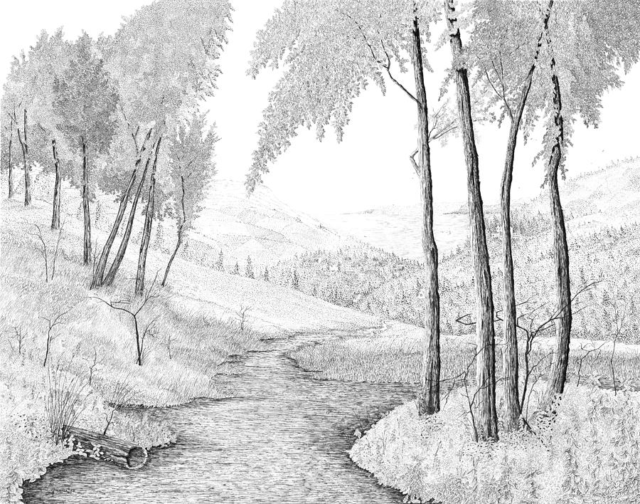 The Stream Drawing by Carl Genovese