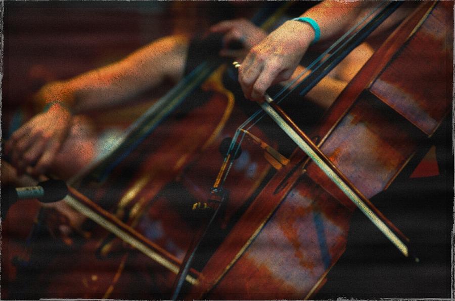 Jazz Photograph - The Stroke of the Cellist by Sheryl Thomas