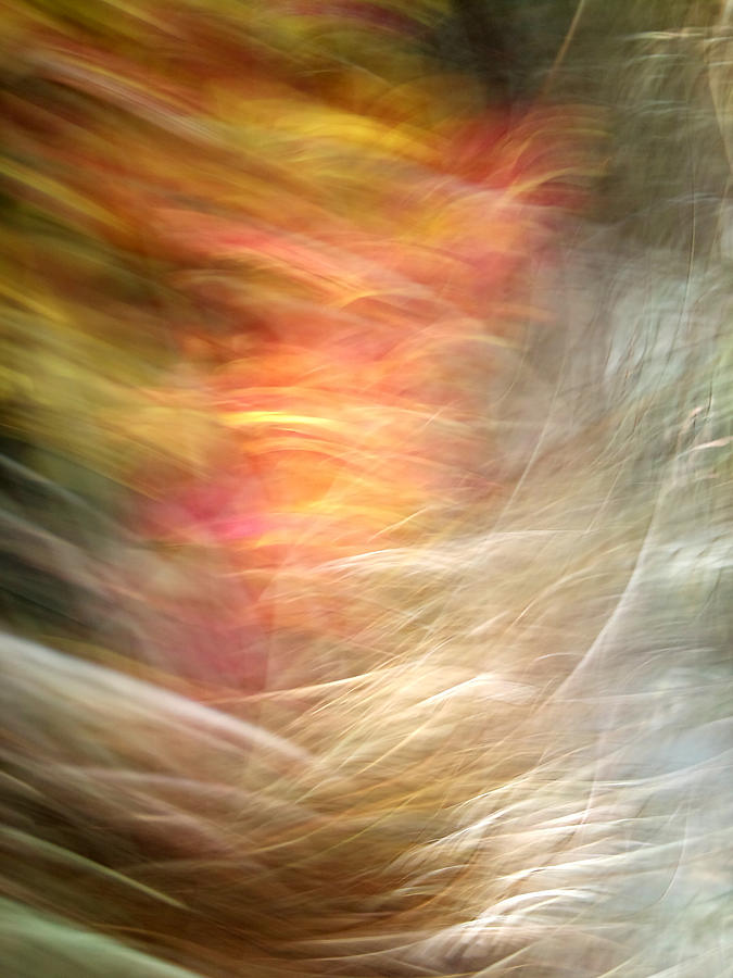 Abstract Photograph - The Subconscious by Munir Alawi