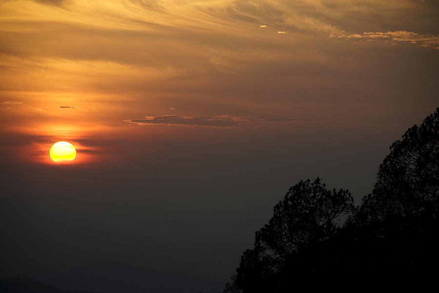 Sunset Photograph - The Sun Behind The Trees by Rajiv Chopra