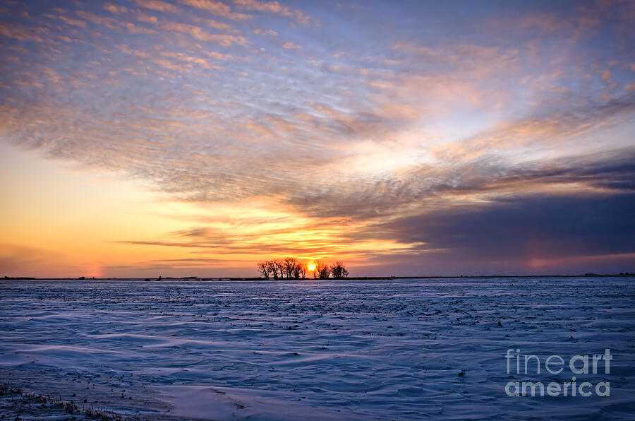 Beautiful sunset in Saskatchewan at Winter time. Photograph by Viktor ...