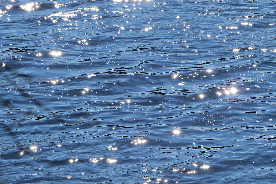 The Sun Gleamed On The Water Photograph by B Vesseur