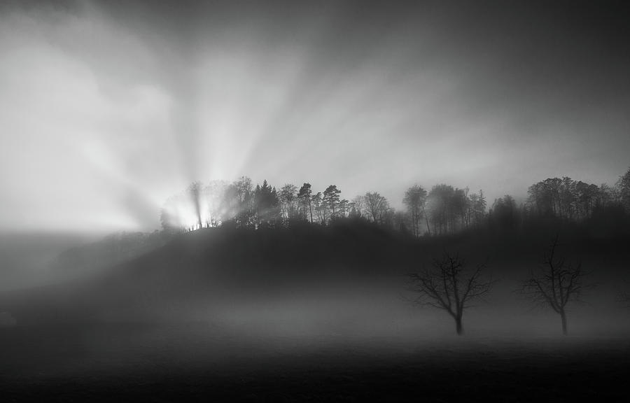 The Sun In The Fog Photograph by Nic Keller