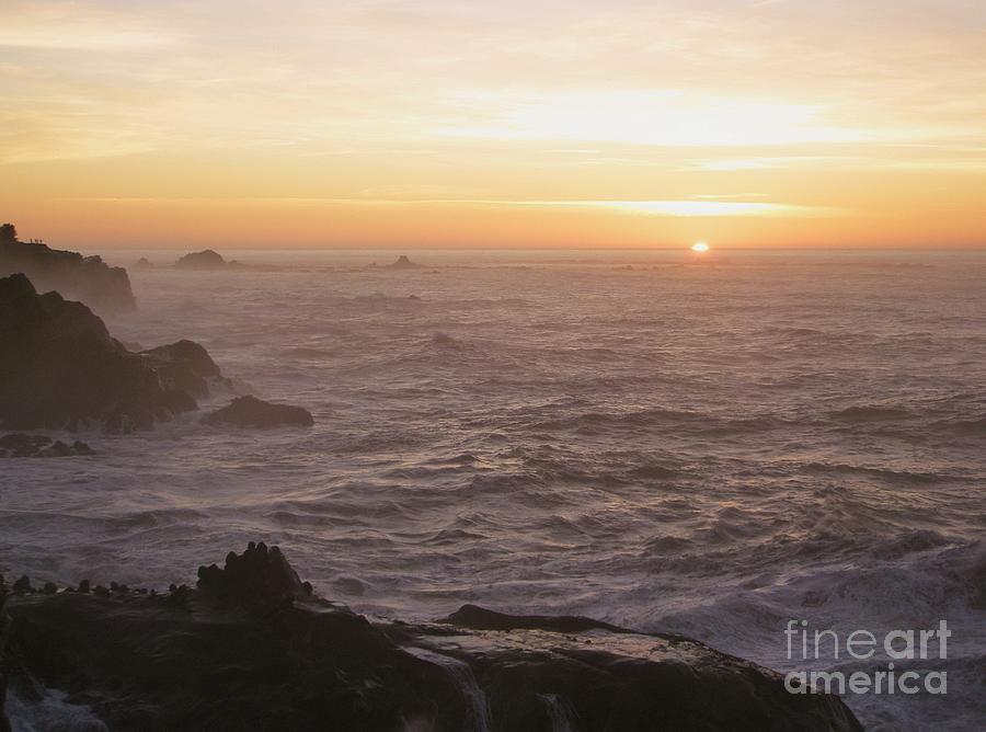The Sun Sets Softly as the Sea Lions Sing Photograph by Liz Snyder