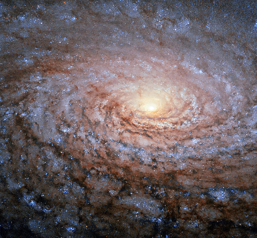 Space Photograph - The Sunflower Galaxy, Messier 63 by Science Source