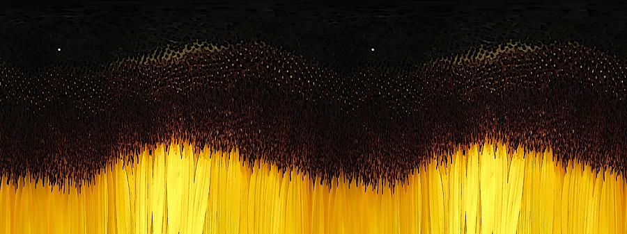 Tim Allen Digital Art - The Sunflower Unleashed by Tim Allen