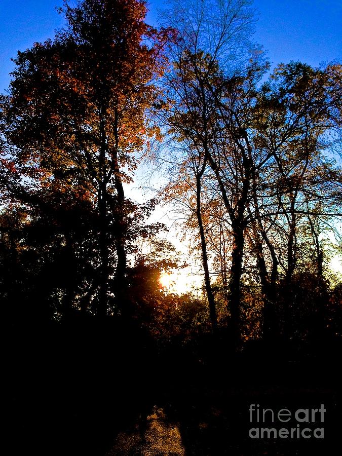 The Sunset Peeks Through The Trees Photograph By Christy Gendalia