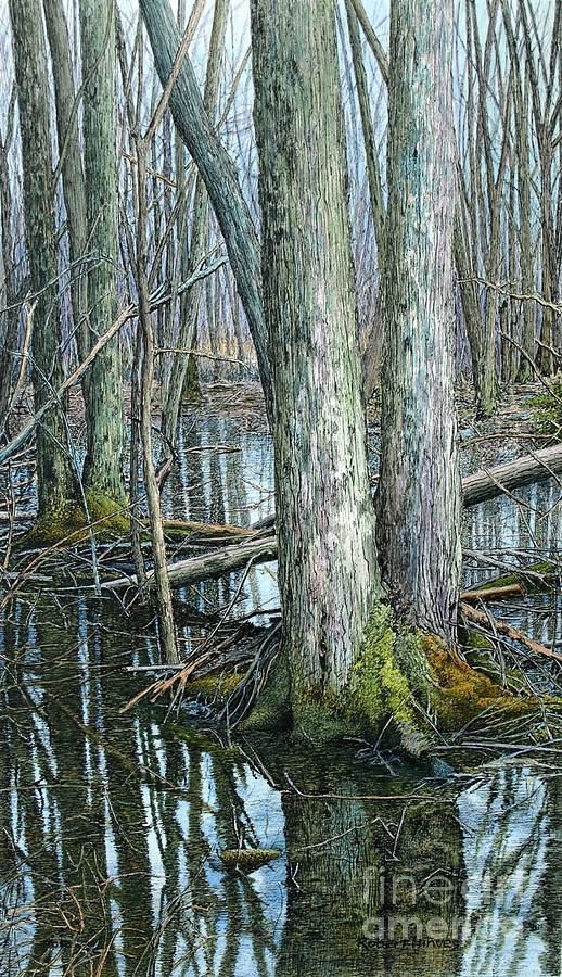 The Swamp 3 Painting by Robert Hinves