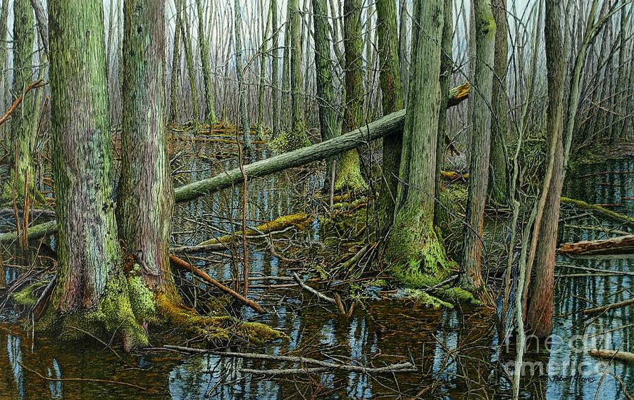The Swamp 4 Painting by Robert Hinves