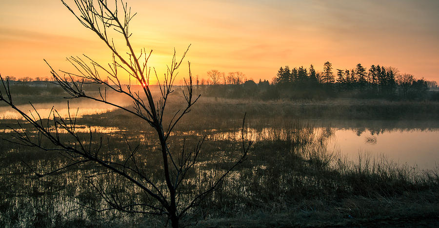 The swamp in the morning Photograph by Nick Mares