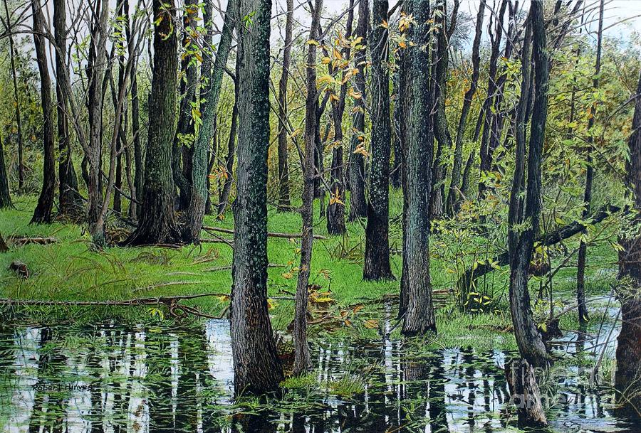 The Swamp Painting by Robert Hinves