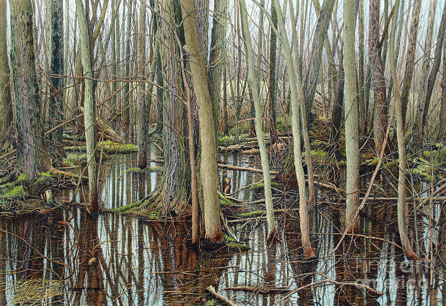 The Swamp V Painting by Robert Hinves