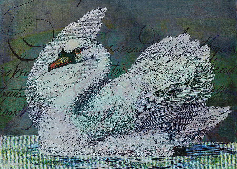 Swan Digital Art - The Swan Also Rises by Sarah Vernon