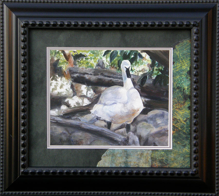 The Swan framed Painting by Lori Brackett