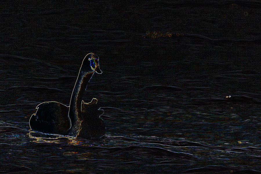 The Swan of Tuonela Photograph by Jouko Lehto Pixels