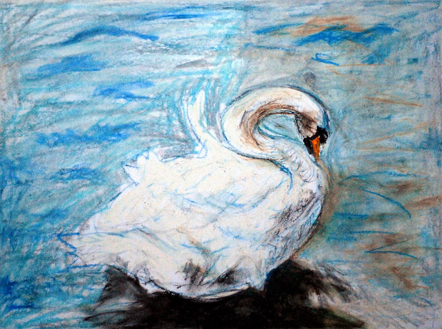 Swan Drawing - The Swan by Paul Sutcliffe