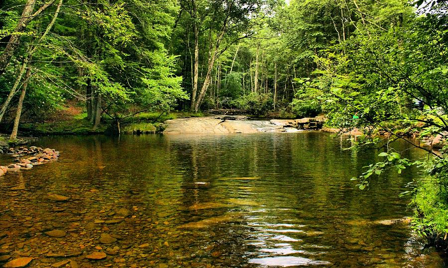 Summer Photograph - The Swimming Hole by Robert McCulloch