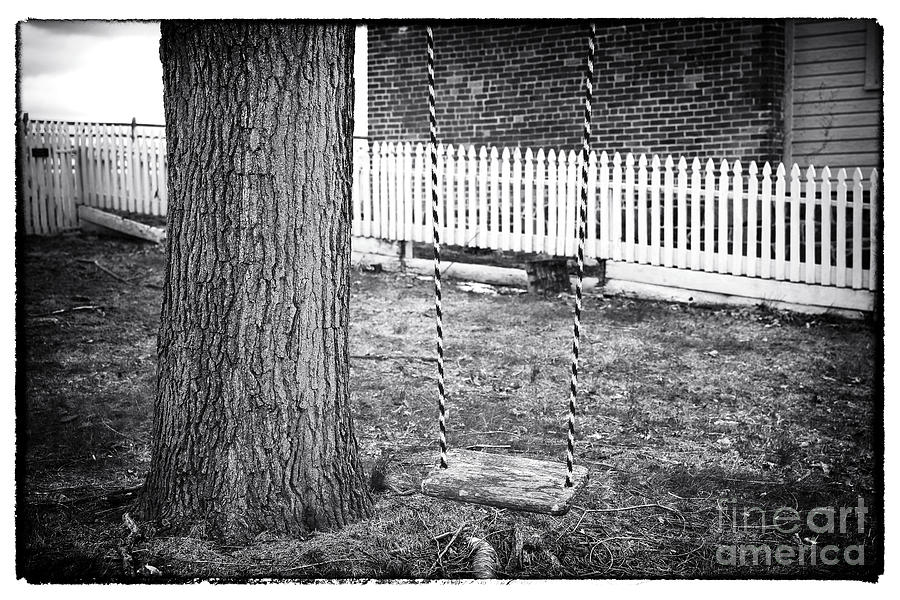 The Swing Photograph by John Rizzuto