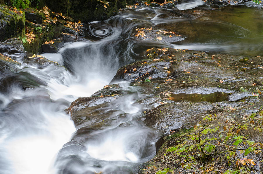 The Swirling Stream Photograph by Margaret Pitcher