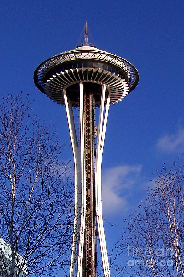 The Symbol of Seattle Photograph by Kathy  White