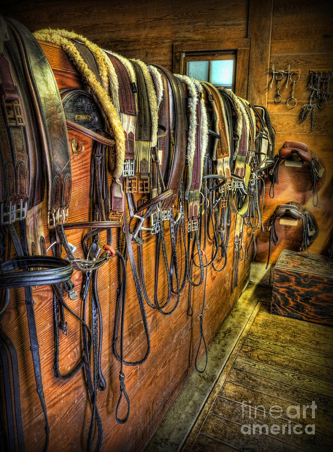 Vintage Photograph - The Tack Room - Equestrian by Lee Dos Santos