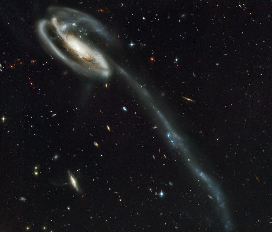Space Photograph - The Tadpole Colliding Galaxies by Nasa/esa/stsci/b.preston/science Photo Library