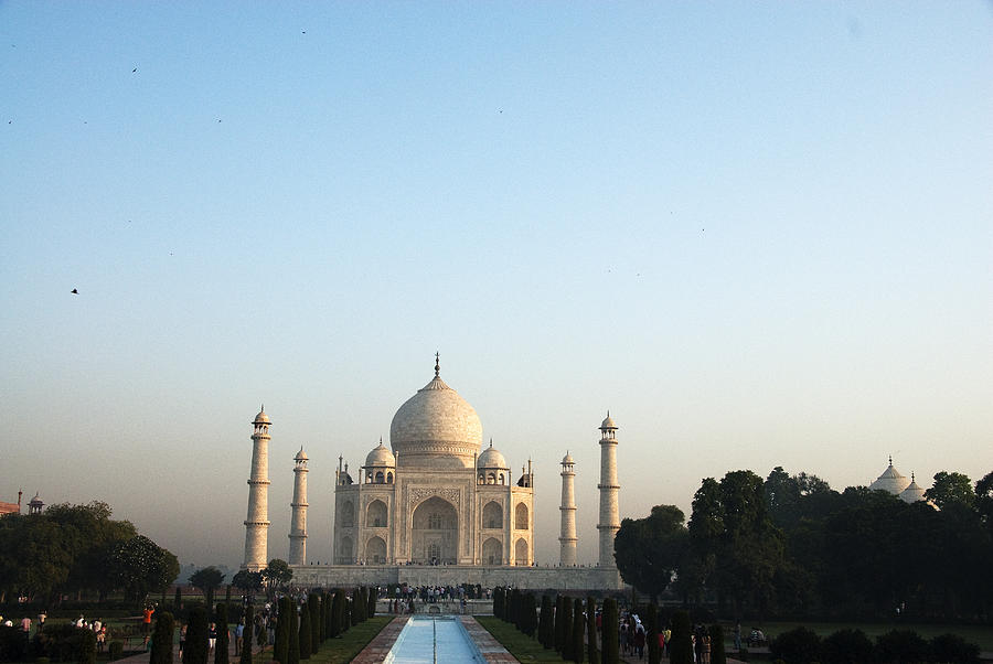 The Taj. Early Morning Photograph by Rajiv Chopra