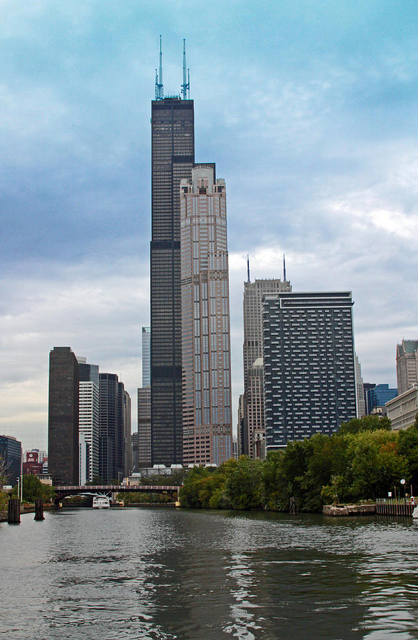 Chicago Photograph - The Tall Buildings by Carolyn Stagger Cokley