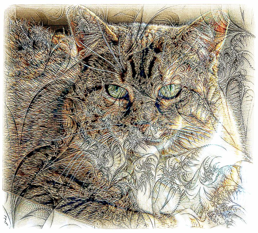 Abstract Photograph - The Tapestry Cat by Kathleen Struckle