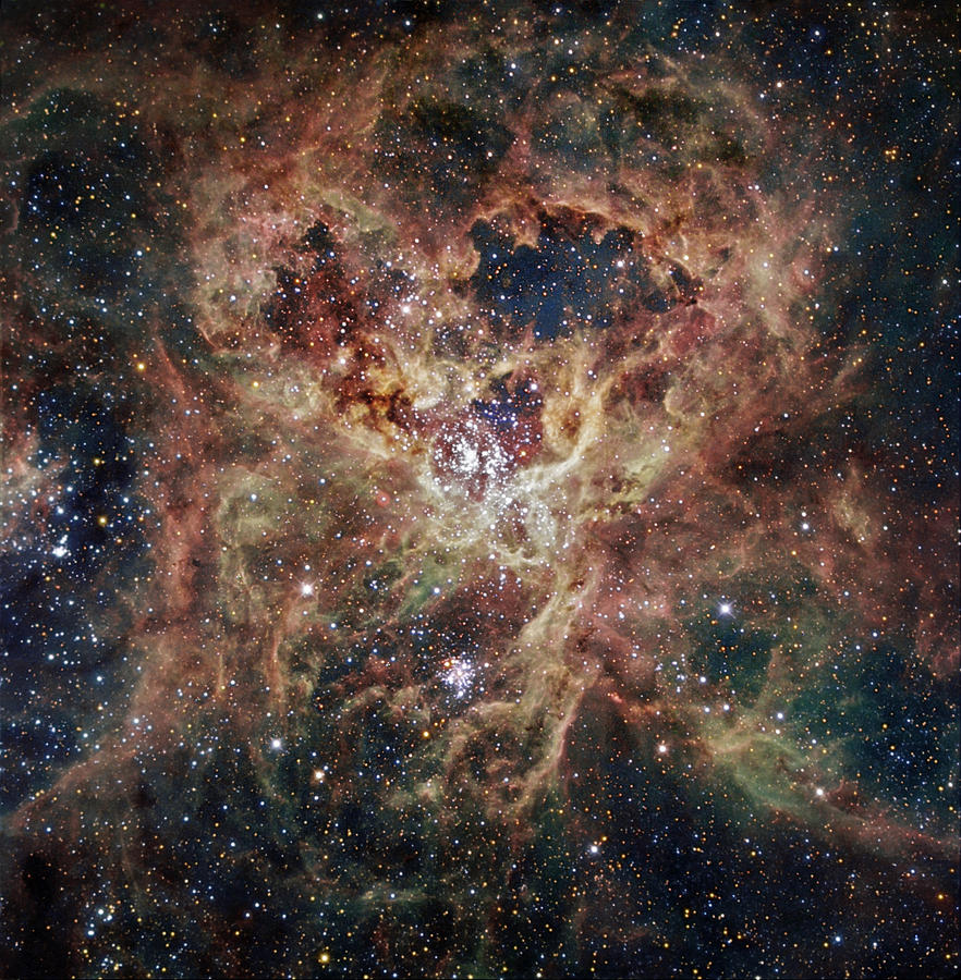 Science Fiction Photograph - The Tarantula Nebula  by Celestial Images