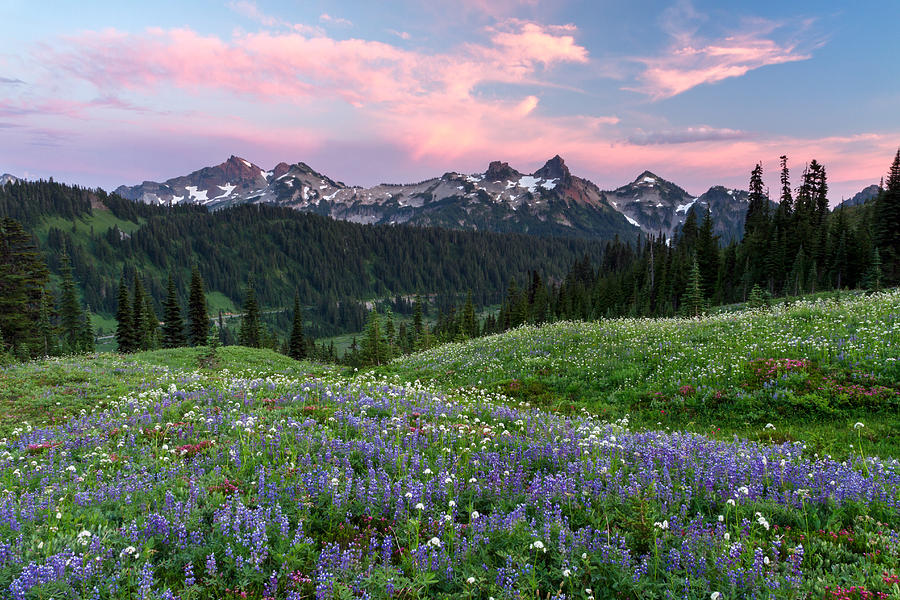 The Tatoosh Range at Sunset Photograph by Michael Russell