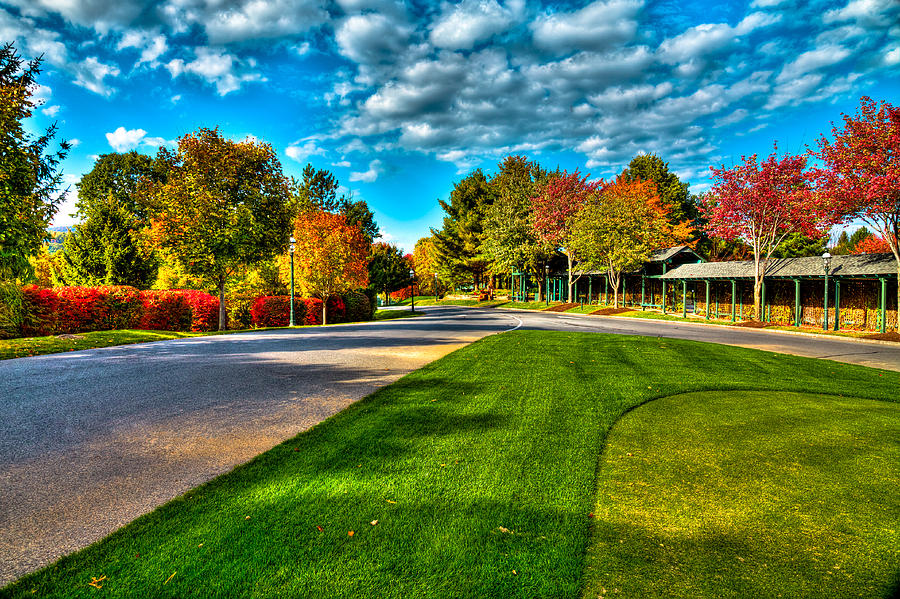 The Tear Drop Lawn at the Sagamore Resort Photograph by David Patterson