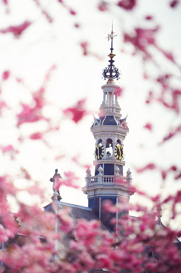 Spring Photograph - The Temple Bell Dies Away 1. Pink Spring in Amsterdam by Jenny Rainbow