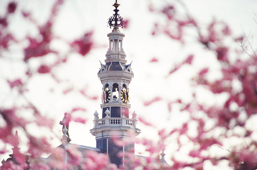 The temple bell dies away. Pink Spring in Amsterdam Photograph by Jenny Rainbow
