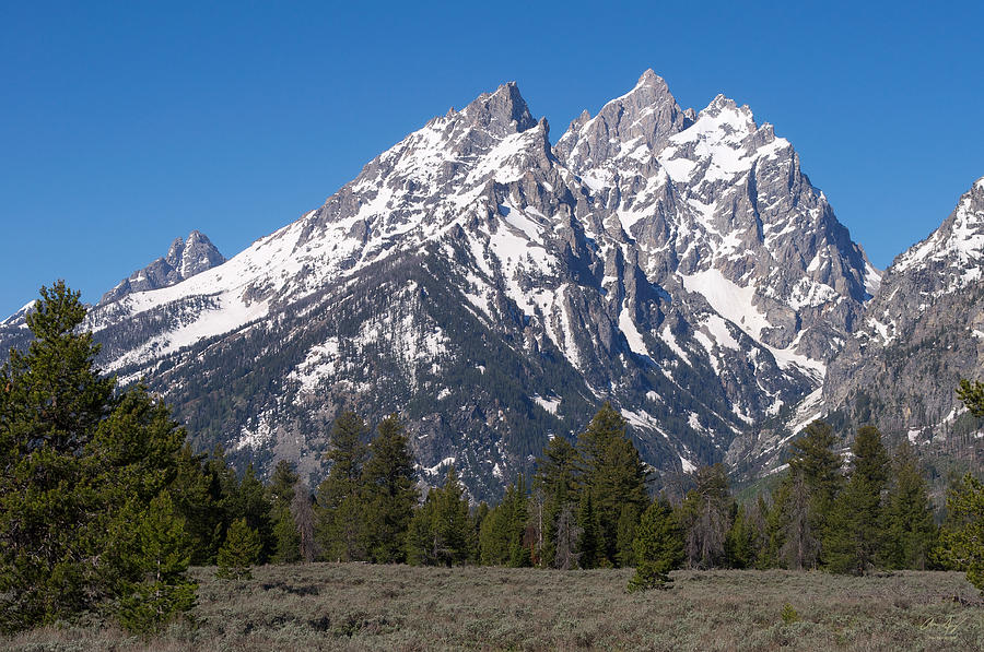 The Tetons Cathedral Group Photograph by Aaron Spong