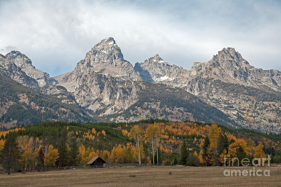 The Tetons Grand Teton National Park Photograph by Fred Stearns