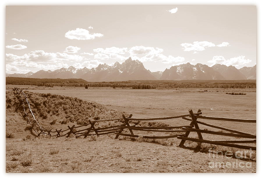 The Tetons in Sepia Photograph by Carol Groenen