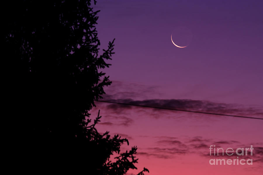 The Thin Cheshire Moon Photograph by John Chumack