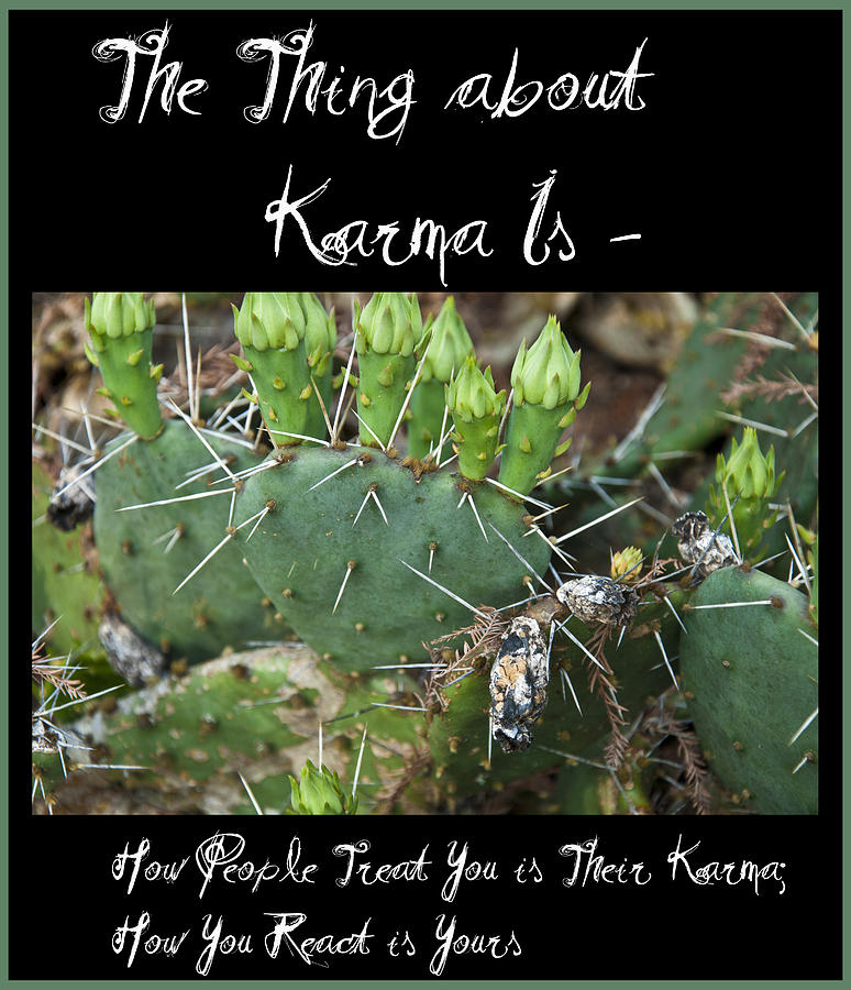 Desert Photograph - The Thing About Karma Is by Bill Cannon