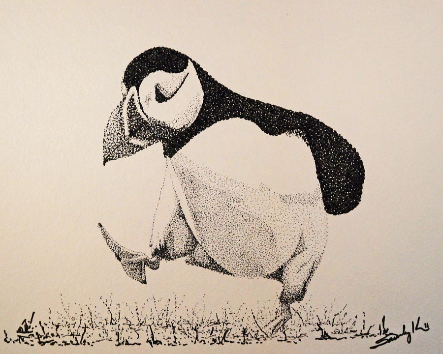 Puffin Drawing - The Thinker by Saundra Smoker