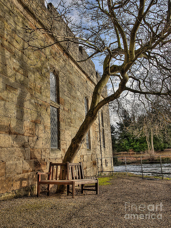 Castle Photograph - Warwick Castle Tree And Bench by Darren Wilkes