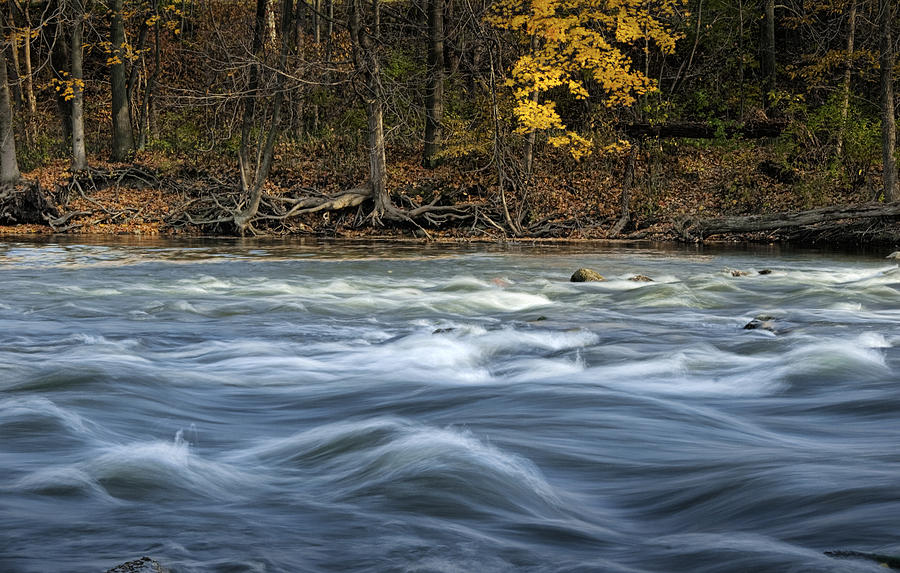 The Thornapple River in October Photograph by Randall Nyhof