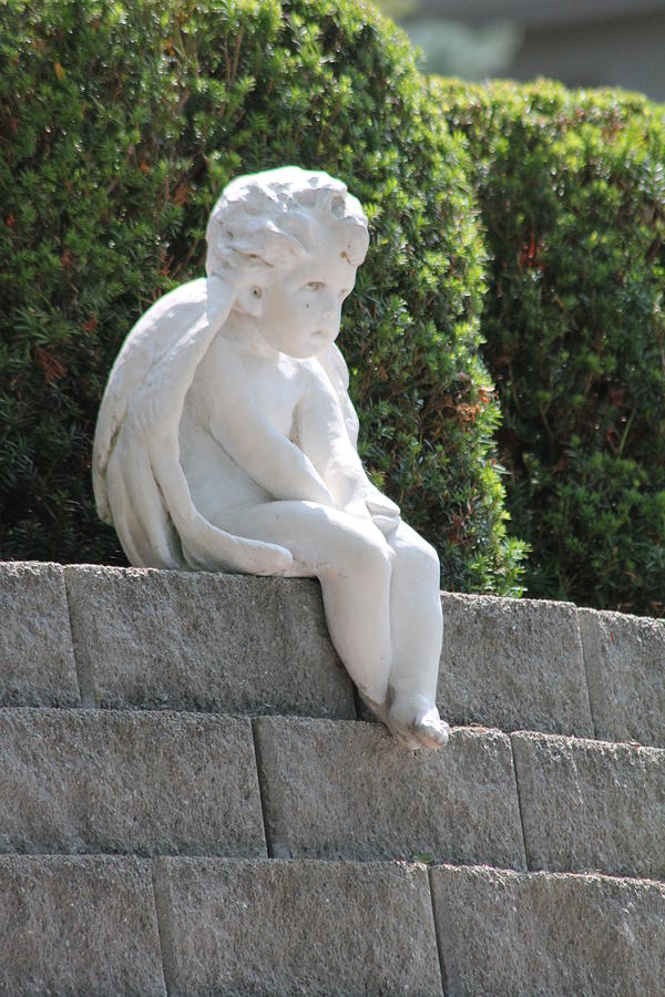 The Thoughtful Angel Photograph by William T Templeton