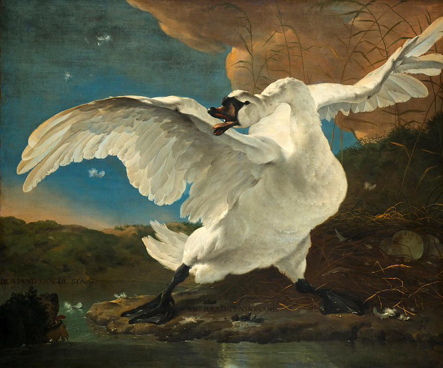 Bird Painting - The Threatened Swan by Jan Asselijn
