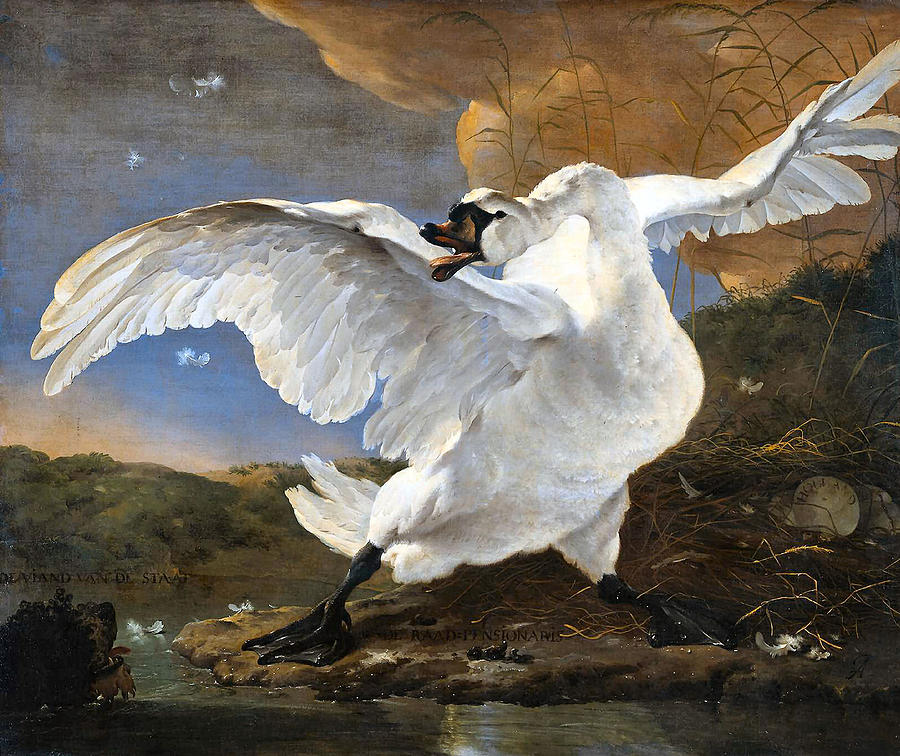 Swan Digital Art - The Threatened Swan by Jan Asselyn