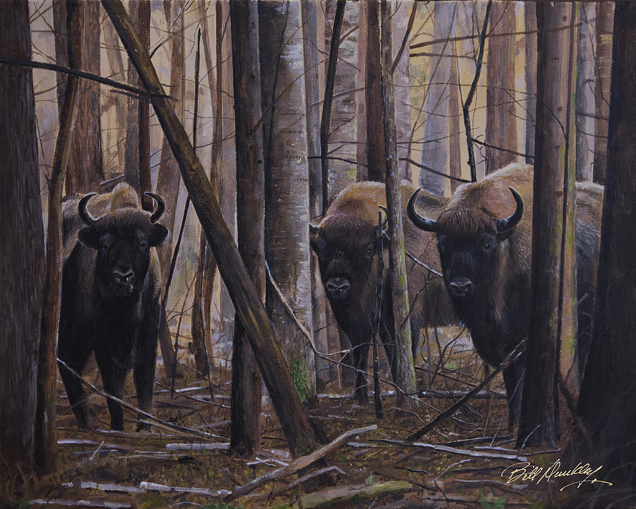 Bison Painting - The Three Amigos by Bill Dunkley