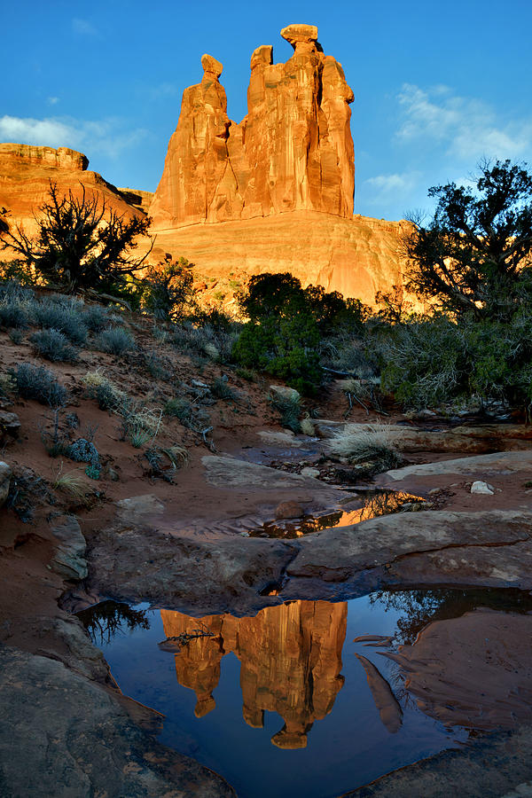 The Three Gossips Photograph by Ray Mathis