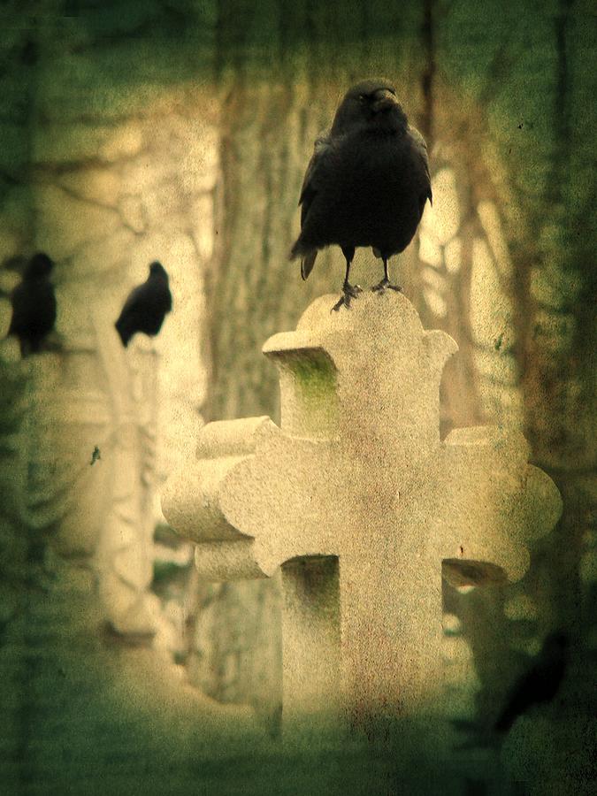 The Three Graveyard Crows Photograph by Gothicrow Images - Fine Art America