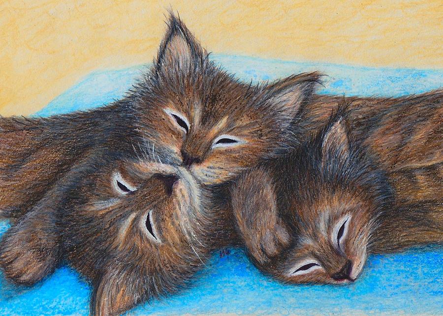 The Three Zzz Drawing by Jo Prevost